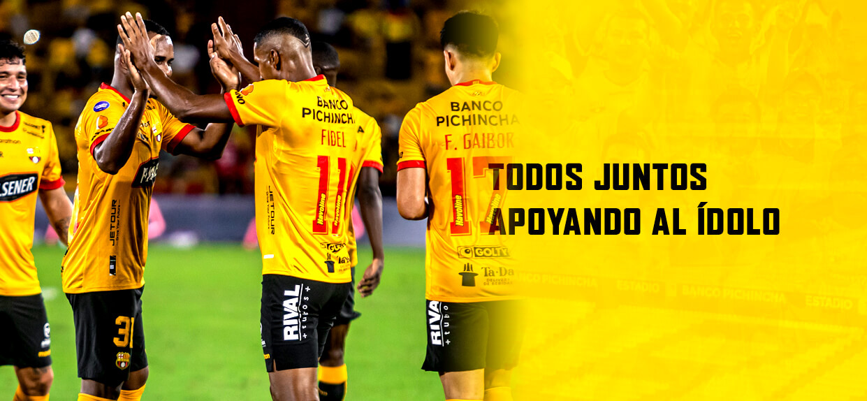 Portal de Socios BSC